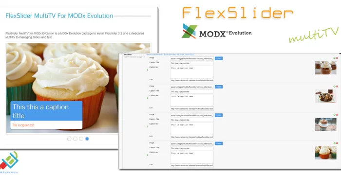 FlexSlider MultiTV for Evolution CMS