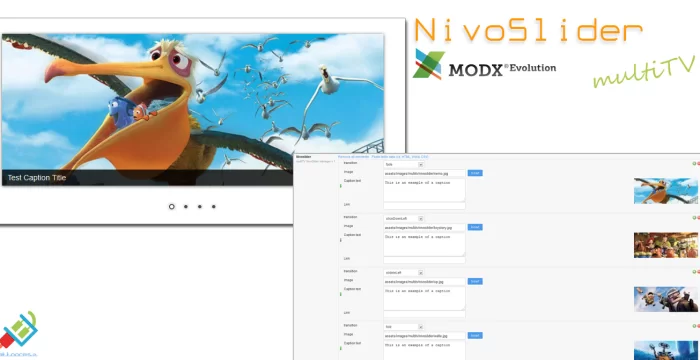 NivoSlider MultiTV for Evolution CMS